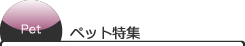 ybgW